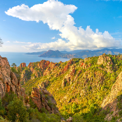 Gauri Shelke-Freelancer in Pune,India