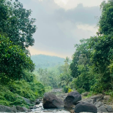 Shafna Sulaiman-Freelancer in Colombo,Sri Lanka