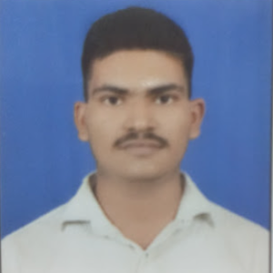 Ashish Pal-Freelancer in Sultanpur Nager,India