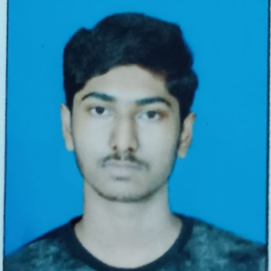 Md Sadik Ali Sarder-Freelancer in Barasat,India