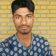 IL Walid-Freelancer in Dhaka,Bangladesh