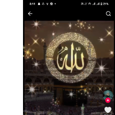 Shahid Bhai-Freelancer in Narowal,Pakistan