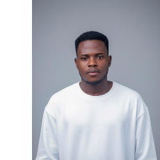 PrimecraftMedia-Freelancer in Nigeria,Nigeria