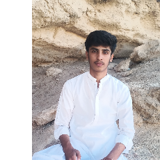 Shari Raisani-Freelancer in Faisalabad,Pakistan