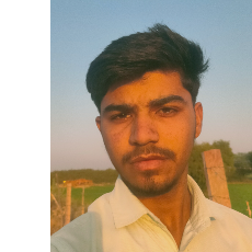 Narendra Chaudhary-Freelancer in Sanchore,India