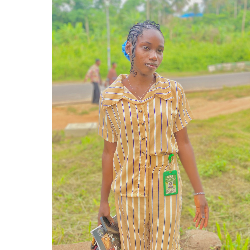 Precious Oye-Freelancer in Ijagbo Offa,Nigeria