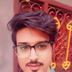 Musaif Alam-Freelancer in Lohardaga,India