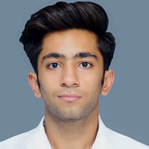 Nitish Sablok-Freelancer in Muradnagar,India