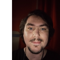 John Henry-Freelancer in Hendersonville,USA