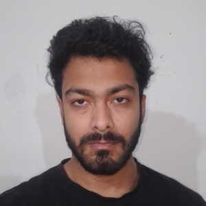Ayush Narayan-Freelancer in Noida,India