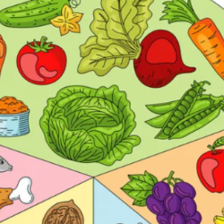 Rakshya S-Freelancer in Kathmandu,Nepal