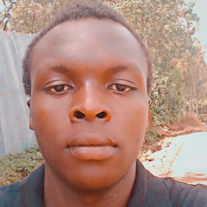 Lewis Mugendi-Freelancer in Murang'a,Kenya