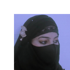 Pakiza saifi-Freelancer in Meerut,India