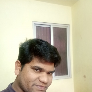 Praveen Kumar Rayapati-Freelancer in Guntur,India