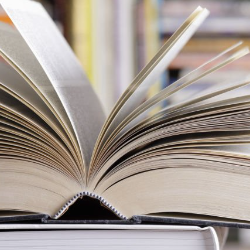 Ahmed Medhat-Freelancer in Alexandria,Egypt