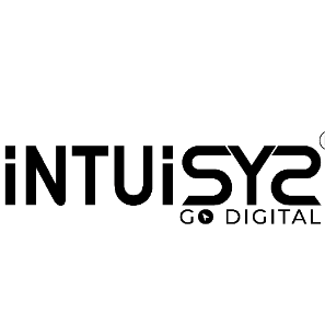 Intuisyz Technologies-Freelancer in kochi,India