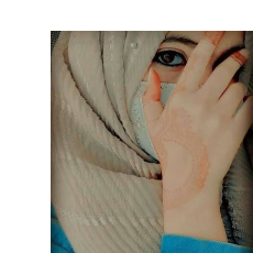 Mubeena Begum-Freelancer in Chennai,India