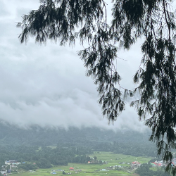 Mridusmita Bhuyan-Freelancer in New Delhi,India