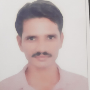 R S Meena-Freelancer in Bhopal,India