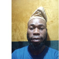 Raji Oluwagbemiga-Freelancer in Ibadan,Nigeria