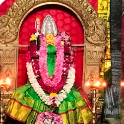 Murali Tharan-Freelancer in Chennai,India