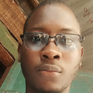 Mamadou Malal Diallo-Freelancer in Conakry,Guinea