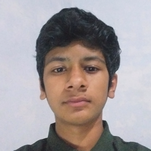 EchoPrime-Freelancer in Rewari,India