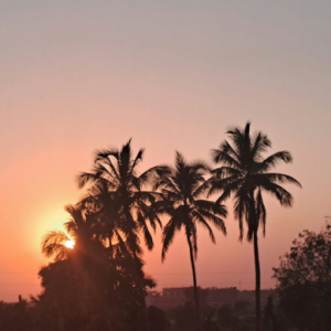 Roshani Joshilkar-Freelancer in Ahmedabad,India