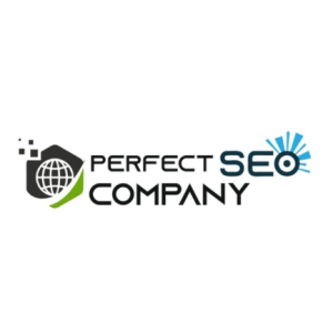 Perfect Seo Company-Freelancer in Jaipur,India