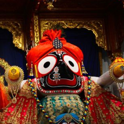 Mortalis Kombot-Freelancer in Dehradun,India