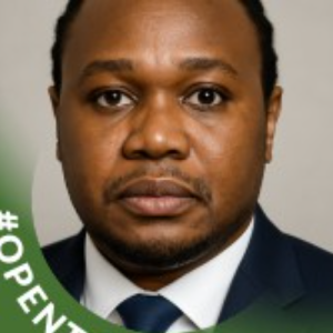 Websitesfixmen-Freelancer in ,USA