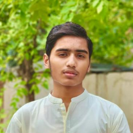 Ali Raza-Freelancer in Sargodha,Pakistan