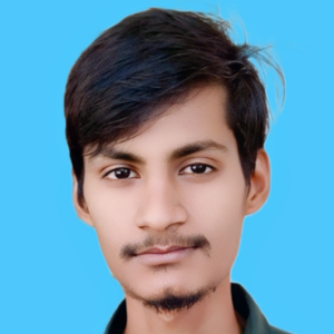 Ankit Kumar-Freelancer in Shahpur,India