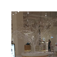 Mariya Saleem-Freelancer in Lahore,Pakistan