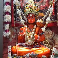 Mohittor-Freelancer in Karnal Division,India