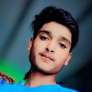 vipul-Freelancer in Meerut,India