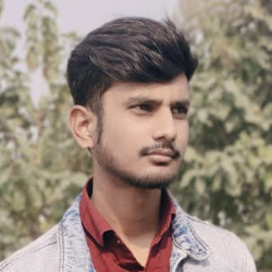 Lavish Chauhan-Freelancer in Noida,India