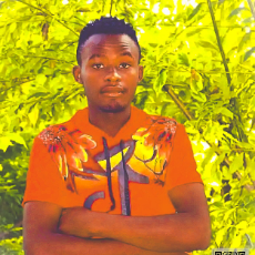 Kevin Karani-Freelancer in Nyeri,Kenya