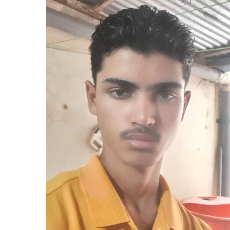 Raghuveer Mimrot-Freelancer in Indore,India