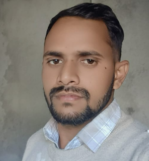 Birendra Kumar-Freelancer in Patna,India