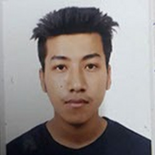 Sajesh Krishna Shrestha-Freelancer in (null),Nepal