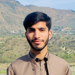 Muhammad Adeel-Freelancer in Abbottabad,Pakistan
