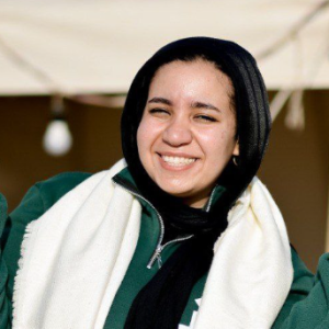 Hams Abdelhakeem-Freelancer in بنى مزار,Egypt