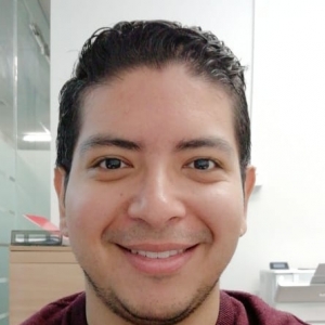 Fabio Flores-Freelancer in Panamá,Panama