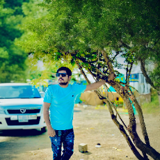 Mitul Sankhesariya-Freelancer in Rajkot,India