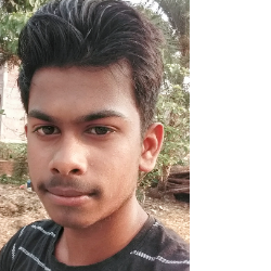 Firoj Mandal-Freelancer in Ranaghat,India