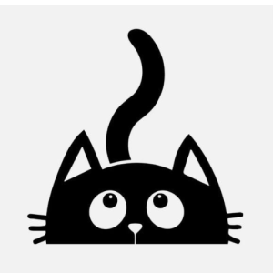 Rizwa S-Freelancer in ,India