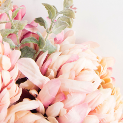 Sachini Roshani-Freelancer in Staten Island,USA