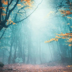 Bala Meghana-Freelancer in Rajahmundry,India