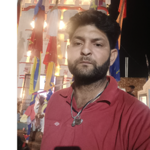 Ramesh Pandit-Freelancer in Ambala,India